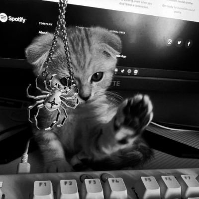 _Z1K0_'s profile picture. he/him