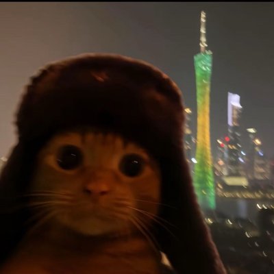 Tohaさんのプロフィール画像