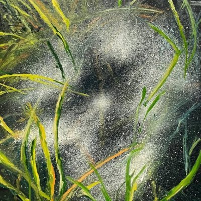 stephanieszhang's profile picture. emergent vessels