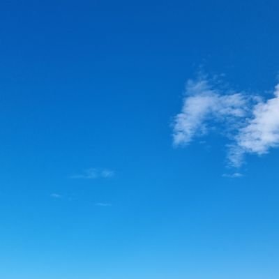 coinerdaya's profile picture. 