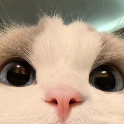 ₊˚ แอคสำรองของ @jsknomyjm 🐳 Mommy น้องซี 🌊ˊˎ อะโวเชี่ยนหลานอุนยาย 🍼 Only Jimmysea ˗ˏˋ🥞⤾·˚ ༘ @Sea_tawinan @jimmyyjp_ 🥑👩🏻🍳◞˚ₓ #งั่มงั่ม #จิมมี่ซี