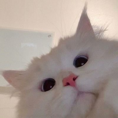 R-rinthipさんのプロフィール画像