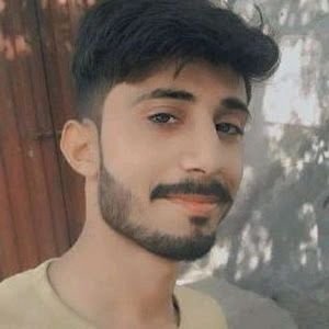 Noor19008's profile picture. 