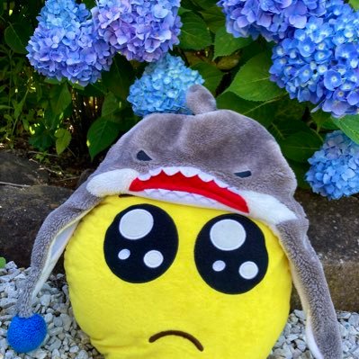shark_pien's profile picture. おいらはインフルぴエンサー🥺🦈そして愉快な仲間たち🐧🐼🦭🐯イカが天敵…略してイカ天🦑フォロバ100ぴえん🥺