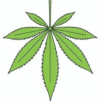Cannabinoid7101's profile picture. レビュー嘘無しで良し悪し付けてます、是非参考にして下さい😉 『NO MARIJUANA NO LIFE』🎁で頂き良かった物を、よく🔄して吸い口にしてます😍 🍯しか吸えない環境下にいる為、今は🍯ONLYです🎶 気軽に、いいね❤️もお願いします😉✌️ 今迄のReviewは、画像から見られます😎