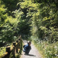 NARUSA (@7ru3_s2) 's Twitter Profile