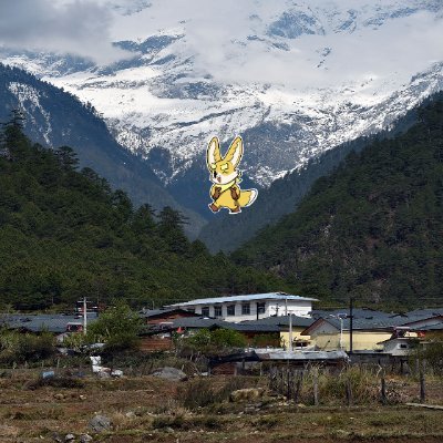 TracyF29590's profile picture. Sahara #0195980