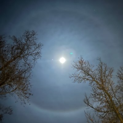 newherenthere's profile picture. really just be bored might make some content 🤷🏾‍♂️