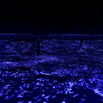 teetotallytot's profile picture. Life is Tech! Media Art | UTokyo