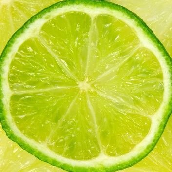 un_tweettweet's profile picture. 