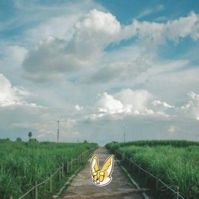 fitipartikaputr's profile picture. Sahara #0037781