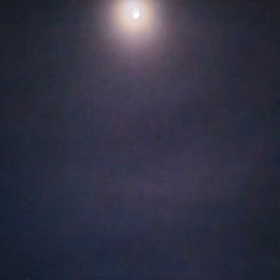 Angel9984982528's profile picture. 