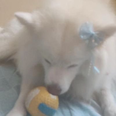 Prasanth_1303's profile picture. 