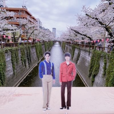 chan_woo32's profile picture. 𝚂𝙴𝚅𝙴𝙽𝚃𝙴𝙴𝙽 💎 𝚆𝙾𝙽𝚆𝙾𝙾 ⚯˶ 韓ﾄﾞﾗと俳優さんもすき🫶