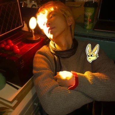 AliceFraga's profile picture. Sahara #0040077