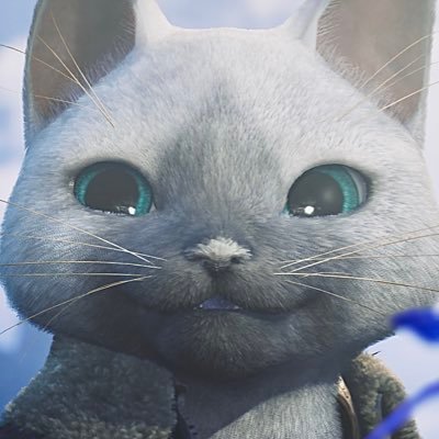 しらたまさんのプロフィール画像