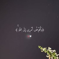 حارثيه (@aymuddt) 's Twitter Profile