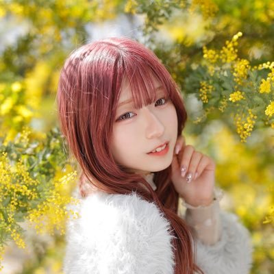 マナコレ撮影会モデル @manacolle_jp(2024.2.17〜) ♡.*・゚┈┈┈┈┈┈┈┈┈┈┈゚・*.♡ tall/152cm age/24 favorite💭マイメロディとちいかわがだいすきですʚ🎀ɞ