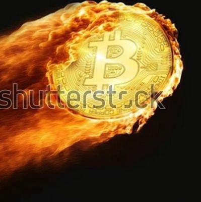 geeked54496's profile picture. cryptocurrency. web3. alpaca tokens