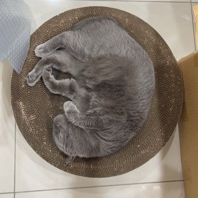 hank12312685048's profile picture. 