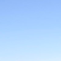 a singular force (@asingularforce) 's Twitter Profile