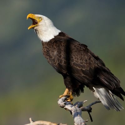 Stocklober's profile picture. 