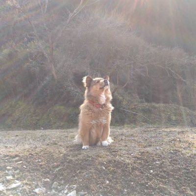 bu__n23's profile picture. 