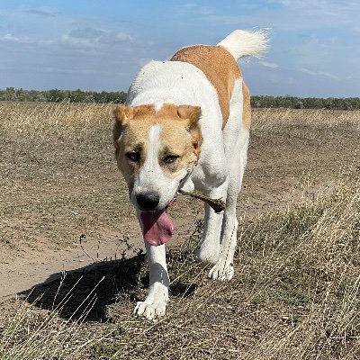 Hydrohmn's profile picture. 