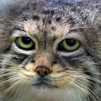 katarz14007's profile picture. 