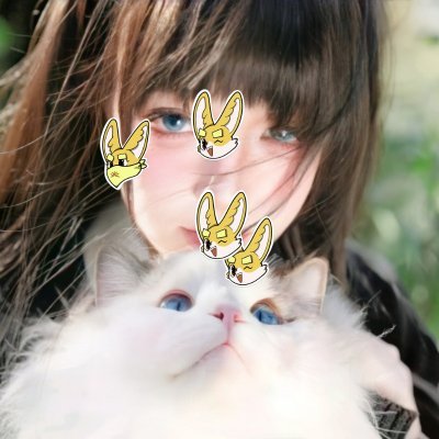 idir1972's profile picture. Sahara #0043897