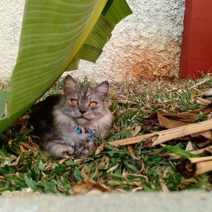 ZeaXx13's profile picture. Suka KOPI HITAM
like Building with @DataHaven_xyz or Part of the @DataHaven_xyz community