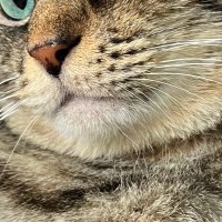 iumy✳︎うみ (@g_cham86) 's Twitter Profile
