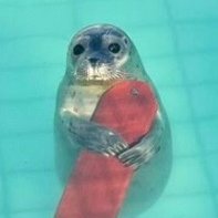 JIN (@jinyg1) Twitter profile photo