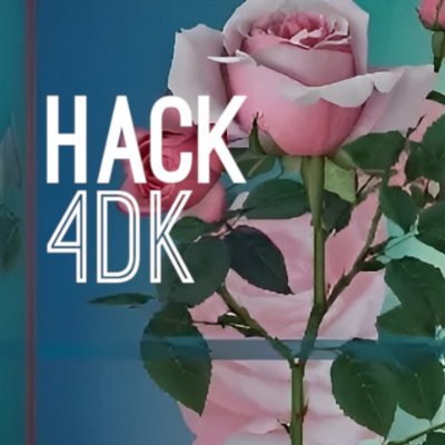 #HACK4DK Profile