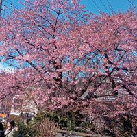 かな (@stqgzdpt4337977) 's Twitter Profile