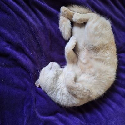 chillchill_vie's profile picture. ย้อนว่าความมีแฮงบ่เคยจะปราณีใคร