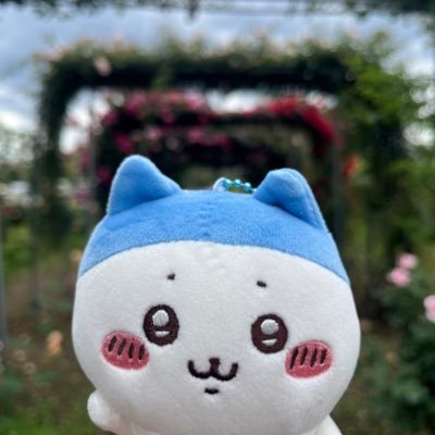 なんかちいさくてかわいいやつ。 😊推しは【うさぎとハチ】ボクサーサウンドに魅了されて、スバル車オンリーな車歴。クレーンゲームは下手だけどすき🐮無言いいね👍無言フォローすみません💦🙏VM4からVMGに乗り換えました!レッドブル角田🇯🇵