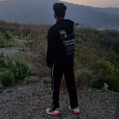 KartikeySa5866's profile picture. Difficult to Yap ||
Backend Dev @theladder_ai