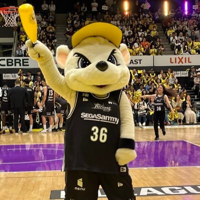 toomily's profile picture. サンロッカーズ渋谷　サンディー