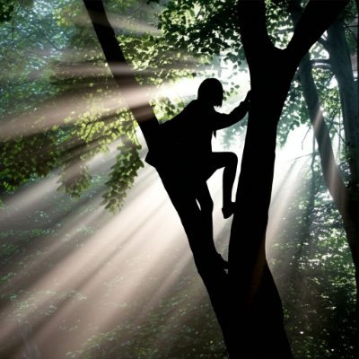 fkc65159's profile picture. 