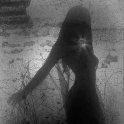 meowmoeweowo's profile picture. 