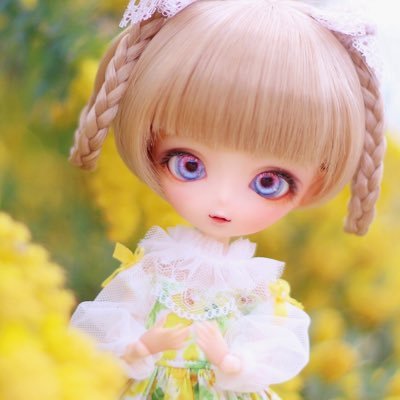 hime_doll's profile picture. Harmoniabloom【みう/Alice A/R2.11.18】 【りの/めだまちこ/R3.12.25】【るか/猫と兎のアトリエ/R4.7.7】【れい/五十嵐椛/R4.10.4】【るあ/五十嵐椛/R7.5.25】四季×ハルモニアちゃんを撮影しています📸無言フォロー失礼します。よろしくお願いします😊