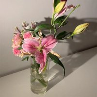 🌷 (@yyvm_5) 's Twitter Profile Photo