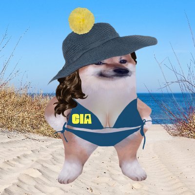 Eliza ๐บ๐ธ๐บ๐ฆ๐ฎ๐ฑ Profile