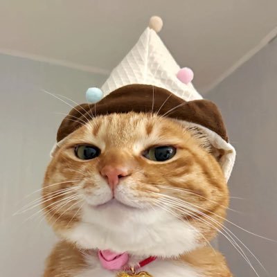 โดยองไม่ได้ชอบเตนล์ๆๆๆๆๆๆๆๆๆๆๆๆ(ล้อเล่น)​さんのプロフィール画像