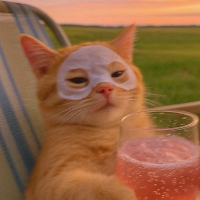 destinyphotek's profile picture. Art Lead • Illustrator ✨ akdestinyphotek@gmail.com