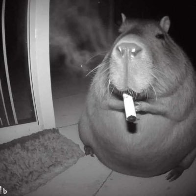 cuong_vuquoc_'s profile picture. bro