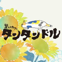 整いカフェ タンタンドル 宿毛 (@tempstendre_s) 's Twitter Profile