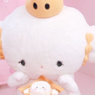 boringangel36's profile picture. @shikotissuebar