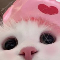 쮸 (@tmoyj) 's Twitter Profile